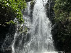 -马峦山郊野公园