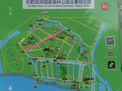 -合肥滨湖国家森林公园