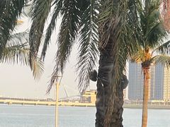 -星巴克(珠海仁恒滨海中心店)