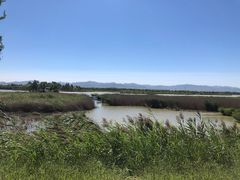 -野鸭湖国家湿地公园