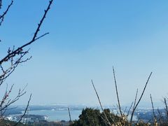 -香雪海