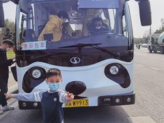 -都江堰中华大熊猫苑