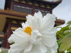 -灵山胜境