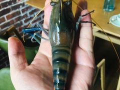 -Thai Basil罗勒叶泰式餐厅(时代天街店)