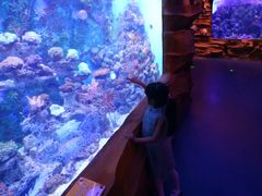 -芜湖新华联大白鲸海洋公园