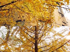 -辽宁大学(崇山校区)