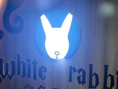 -白兔子密室(长寿路店)