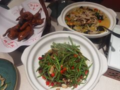 -鸽子侯·家宴·平价海鲜(绿地店)