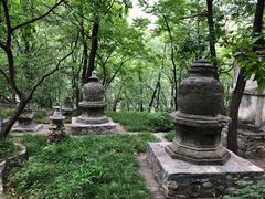 -北京上方山国家森林公园