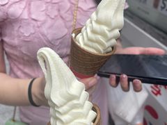 -富豪雪糕车流动点(尖沙咀店)