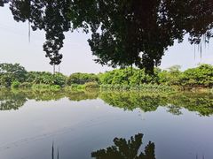 -小洲村