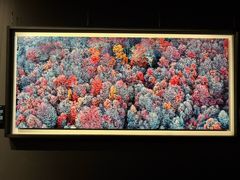 -罗红摄影艺术馆