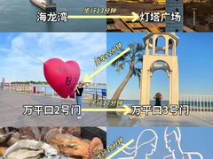 -日照海滨国家森林公园