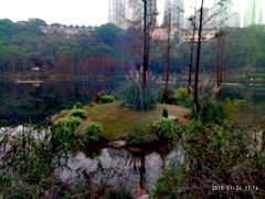 -重庆彩云湖湿地公园
