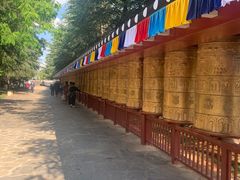 -云南民族村