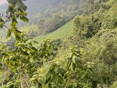 -敬亭山风景名胜区