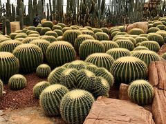 -南通洲际绿博园