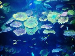 -暹罗海洋世界