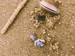 -北海金海湾红树林生态旅游区