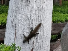 -一锅厨东北水饺店(厦大店)