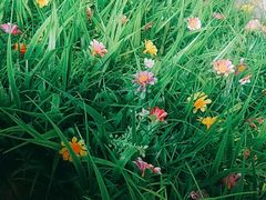 -湘邻呷铺·田园家宴(汉基广场店)