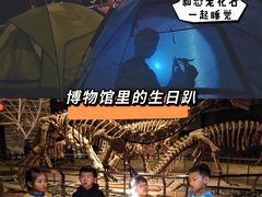 -世界恐龙谷景区