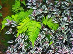 -北京植物园-展览温室