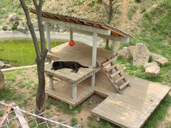 -石家庄市动物园