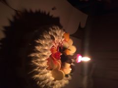 iphone_upload_pic-红宝石·鲜奶小方·海派西点房(南丹店)