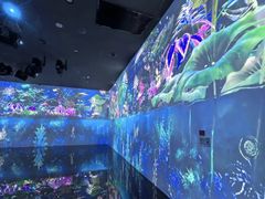 -中国湿地博物馆