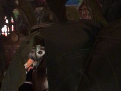 -凯撒城堡西餐厅(颐和国际店)