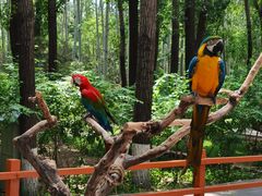 -北京野生动物园