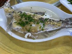 -水上鱼当家