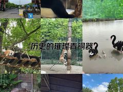 -上海野生动物园