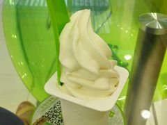 -Salud撒露欧洲冻酸奶(北苑上品店)