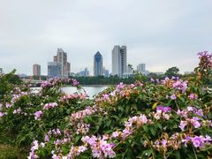 -南宁南湖公园