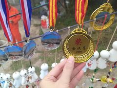 -梧桐山风景名胜区