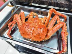 -蚝专家