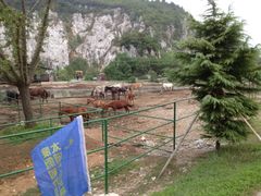 -苏州太湖牛仔风情度假村