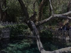 -蝴蝶泉公园