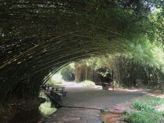 景点-丹霞山风景名胜区