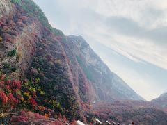 -黄花溪