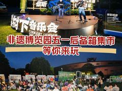 -国际非物质文化遗产博览园