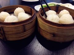 -添运来(茶园奥园广场店)