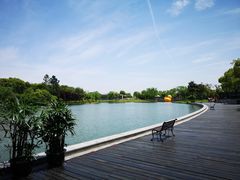 -上海佘山世茂艾美酒店