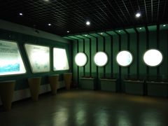 -龙虎山世界地质公园博物馆