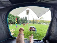 -武陵山森林公园