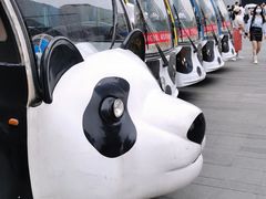 -都江堰中华大熊猫苑