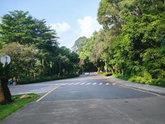 -南国桃园旅游度假区