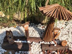 -上海共青森林公园